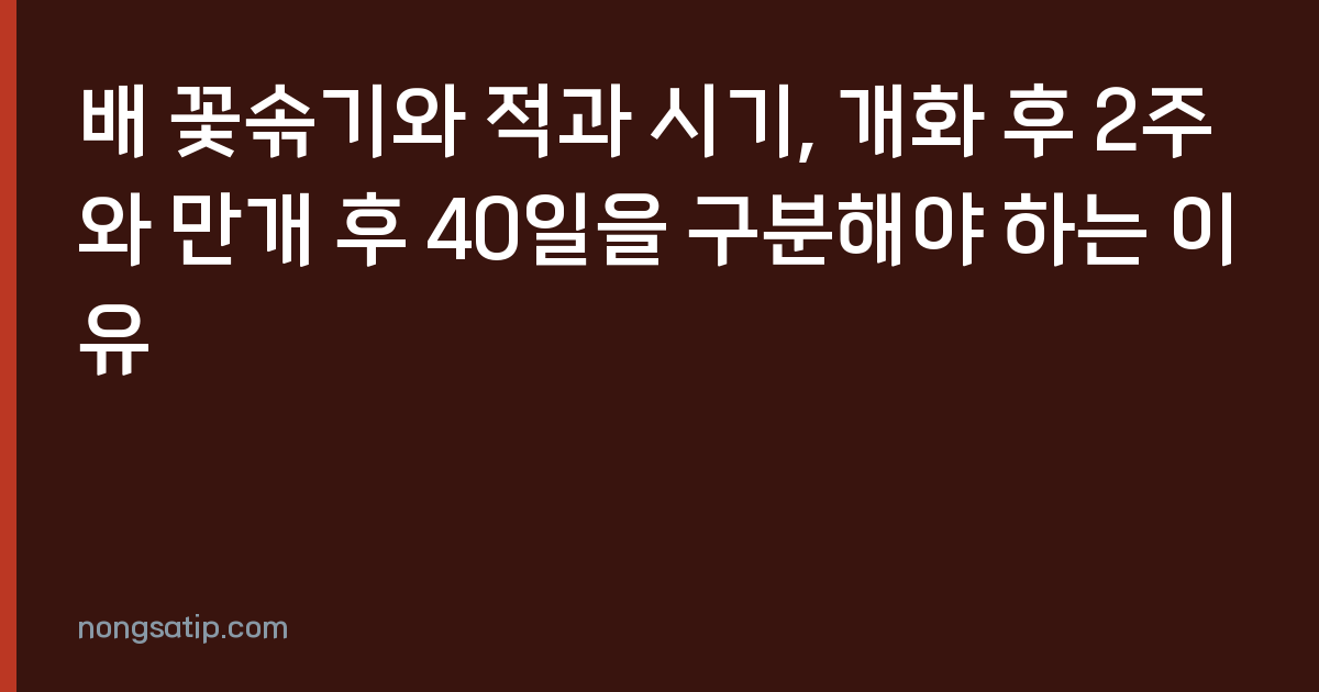 배 꽃솎기와 적과 시기, 개화 후 2주와 만개 후 40일을 구분해야 하는 이유