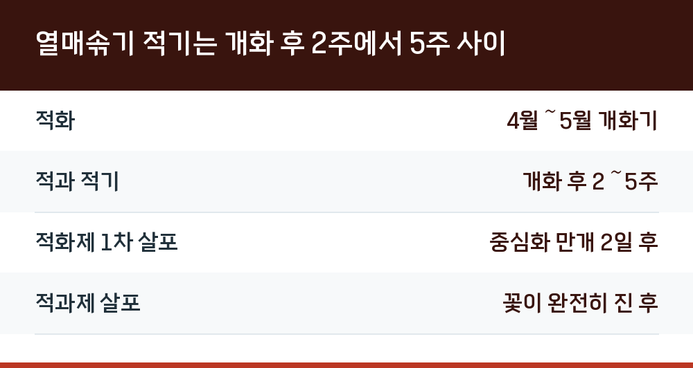 열매솎기 적기는 개화 후 2주에서 5주 사이