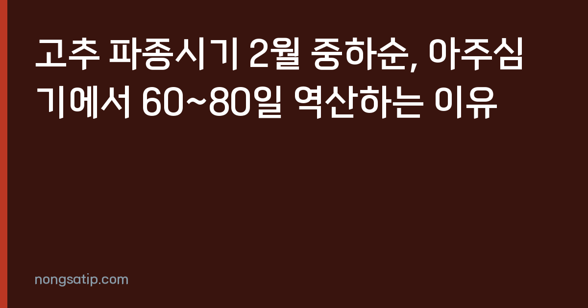 고추 파종시기 2월 중하순, 아주심기에서 60~80일 역산하는 이유