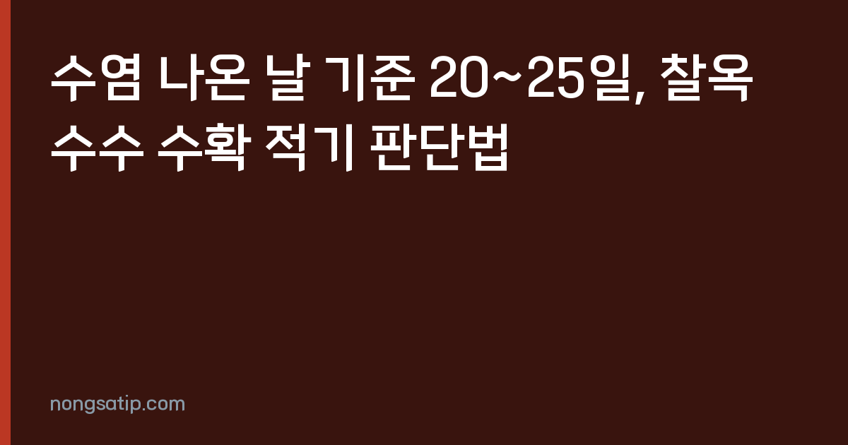 수염 나온 날 기준 20~25일, 찰옥수수 수확 적기 판단법