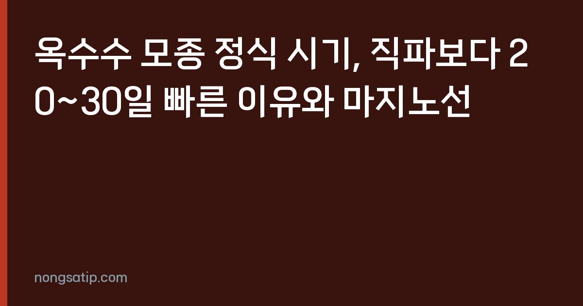 옥수수 모종 정식 시기, 직파보다 20~30일 빠른 이유와 마지노선