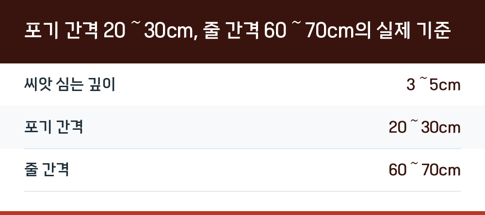 포기 간격 20~30cm, 줄 간격 60~70cm의 실제 기준