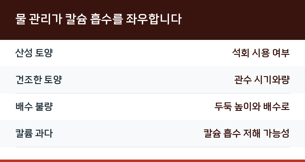 물 관리가 칼슘 흡수를 좌우합니다