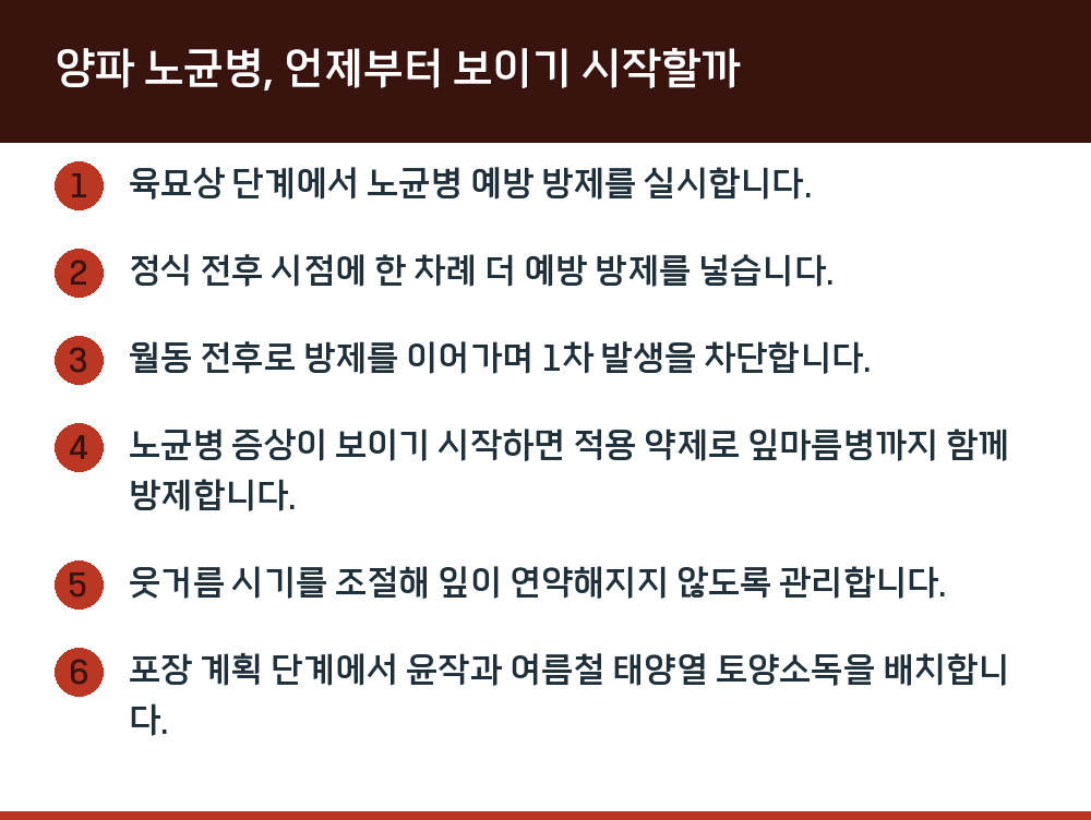 양파 노균병, 언제부터 보이기 시작할까