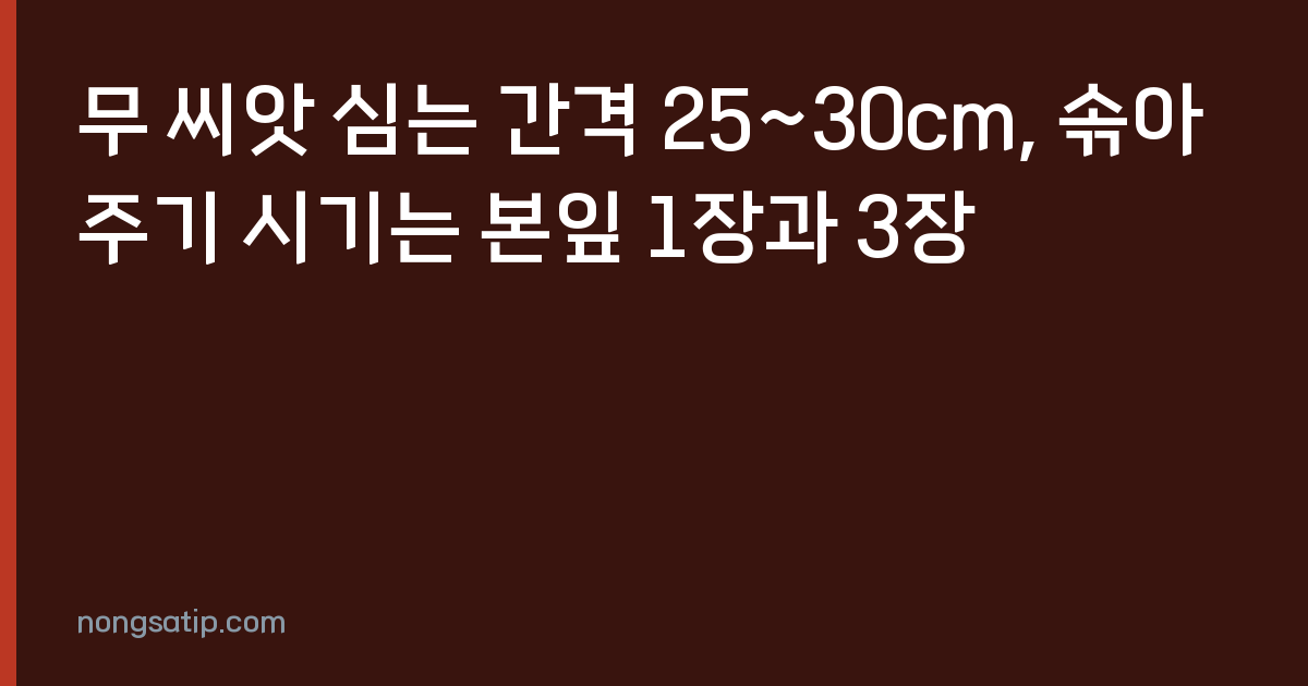 무 씨앗 심는 간격 25~30cm, 솎아주기 시기는 본잎 1장과 3장