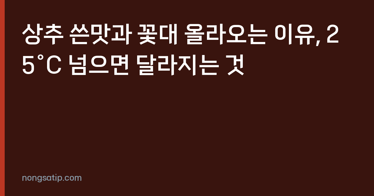 상추 쓴맛과 꽃대 올라오는 이유, 25°C 넘으면 달라지는 것