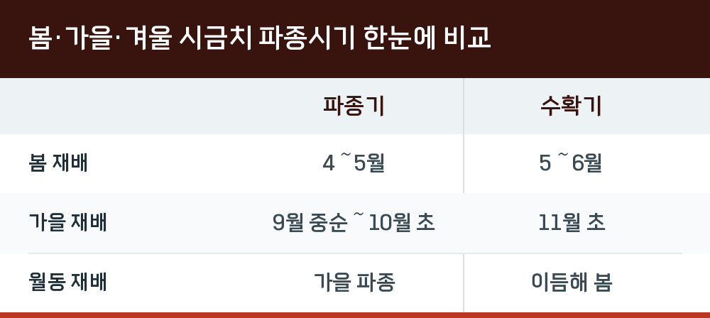 봄·가을·겨울 시금치 파종시기 한눈에 비교