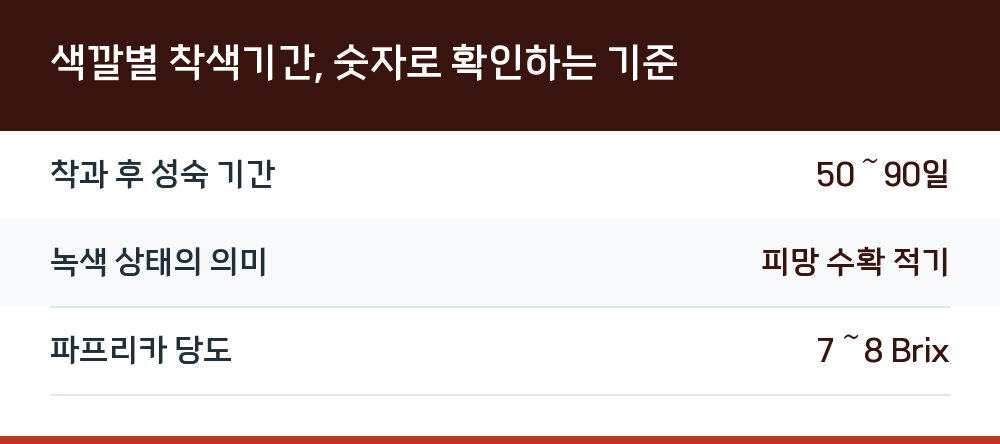 색깔별 착색기간, 숫자로 확인하는 기준