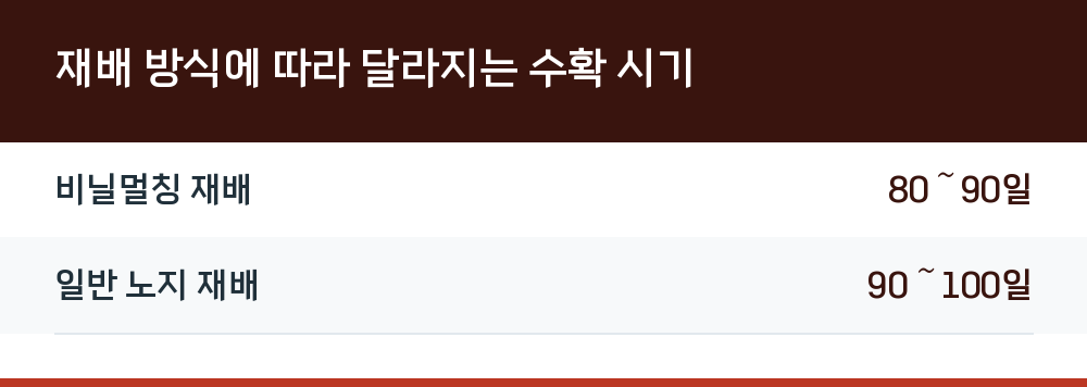 재배 방식에 따라 달라지는 수확 시기