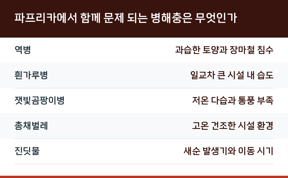 파프리카에서 함께 문제 되는 병해충은 무엇인가