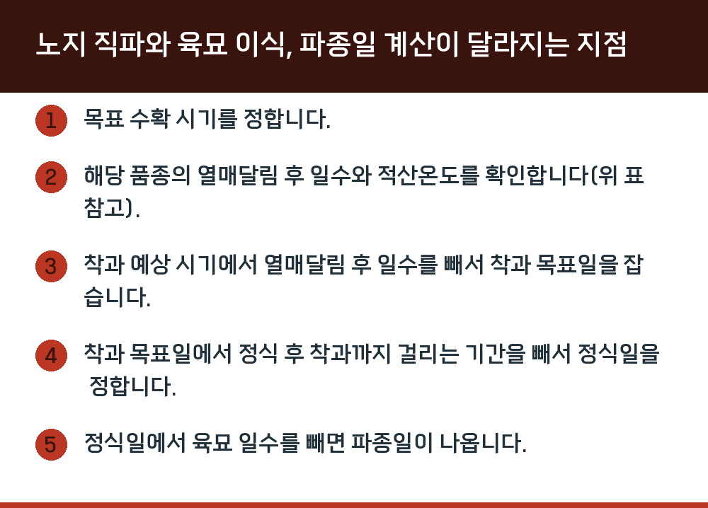 노지 직파와 육묘 이식, 파종일 계산이 달라지는 지점