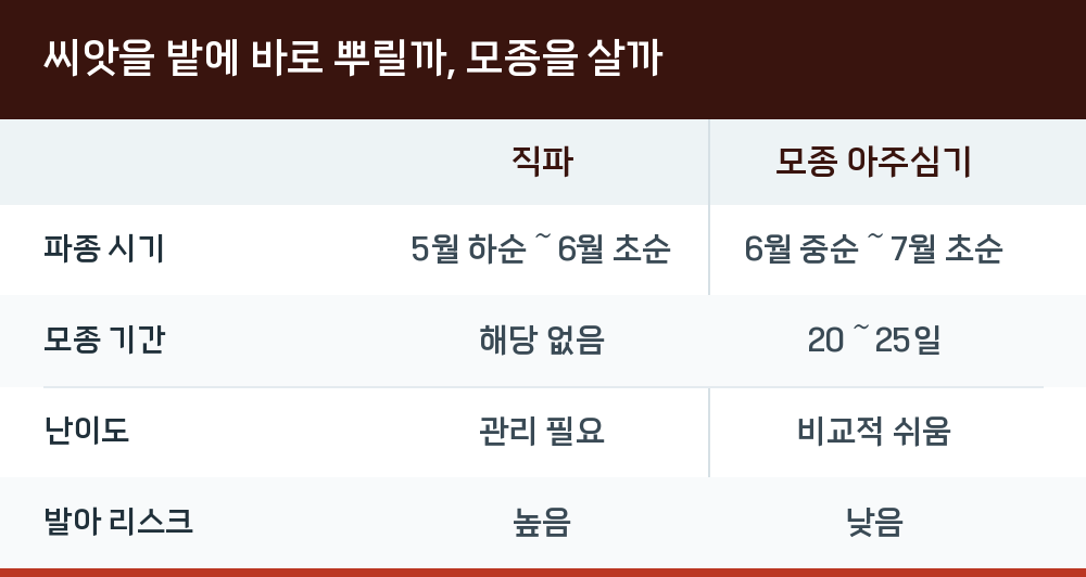 씨앗을 밭에 바로 뿌릴까, 모종을 살까