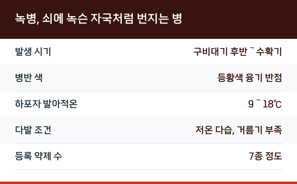 녹병, 쇠에 녹슨 자국처럼 번지는 병