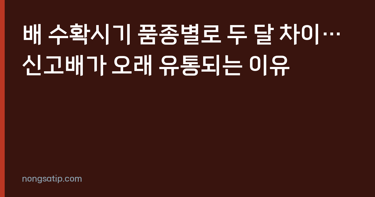 배 수확시기 품종별로 두 달 차이…신고배가 오래 유통되는 이유