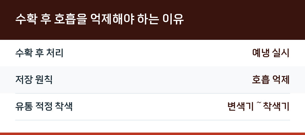 수확 후 호흡을 억제해야 하는 이유