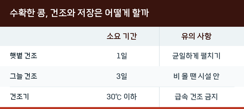 수확한 콩, 건조와 저장은 어떻게 할까