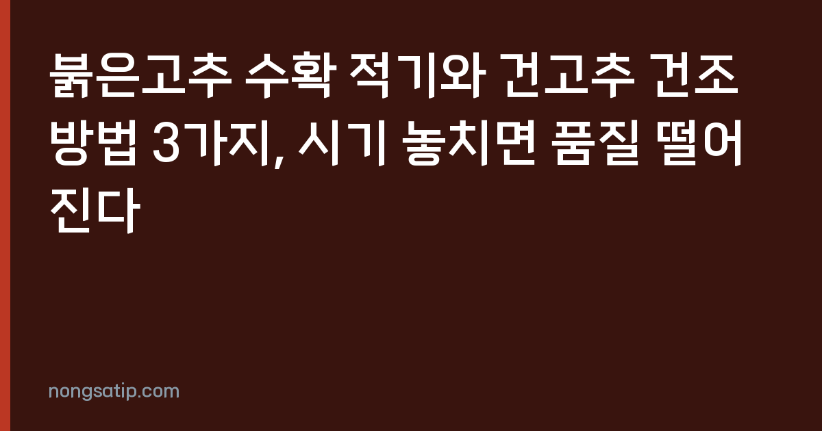 붉은고추 수확 적기와 건고추 건조 방법 3가지, 시기 놓치면 품질 떨어진다