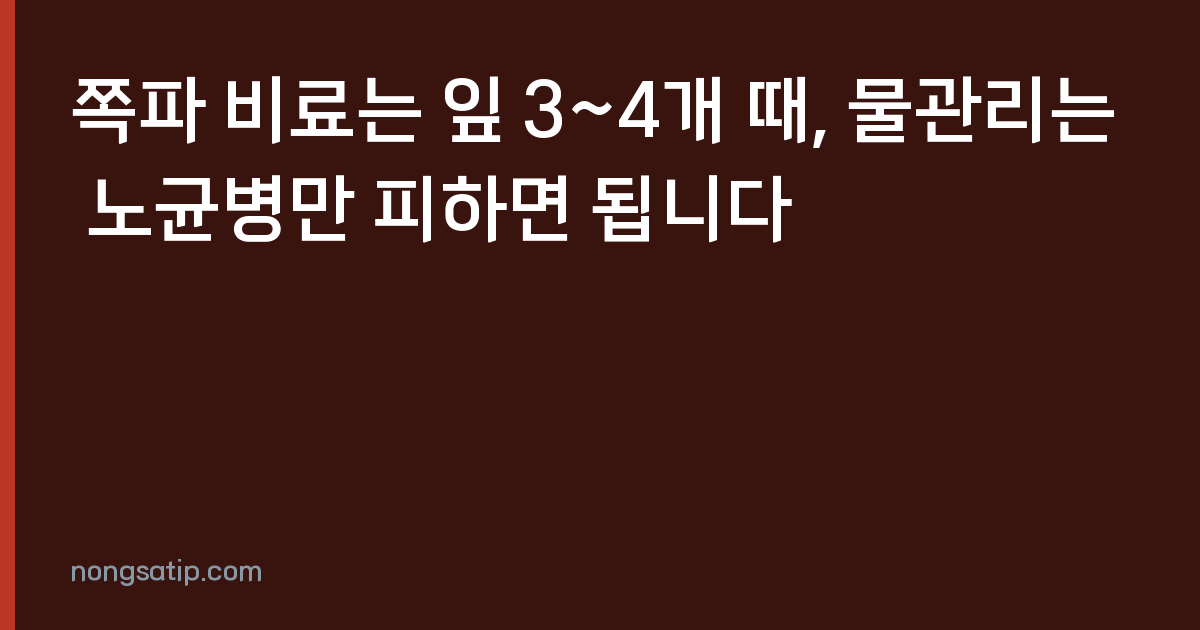 쪽파 비료는 잎 3~4개 때, 물관리는 노균병만 피하면 됩니다