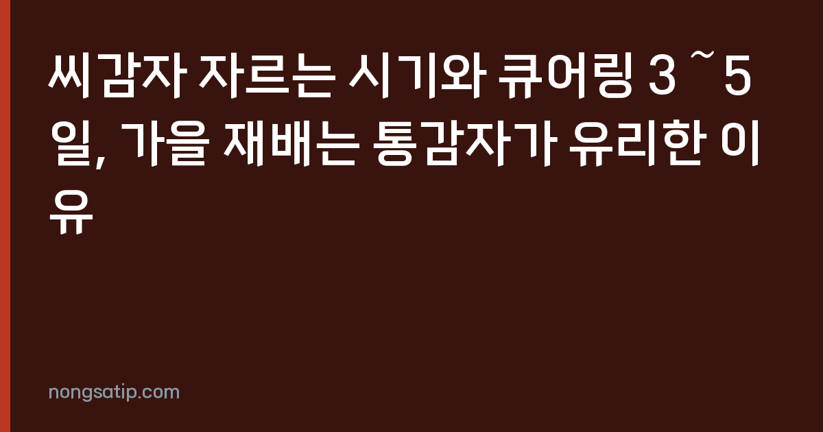 씨감자 자르는 시기와 큐어링 3～5일, 가을 재배는 통감자가 유리한 이유