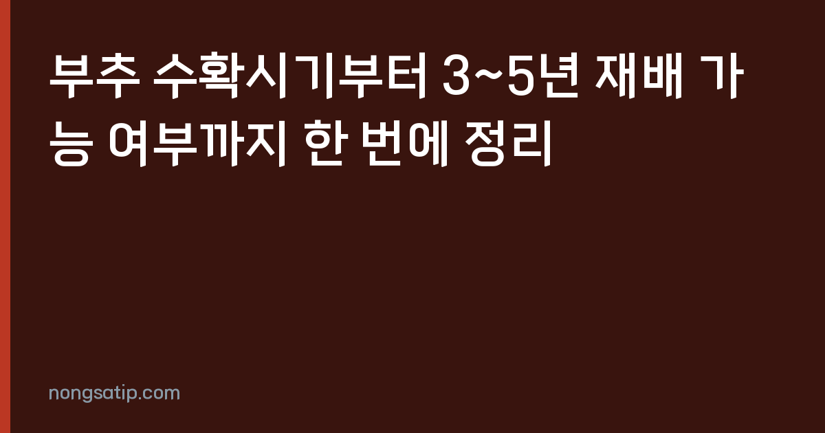 부추 수확시기부터 3~5년 재배 가능 여부까지 한 번에 정리