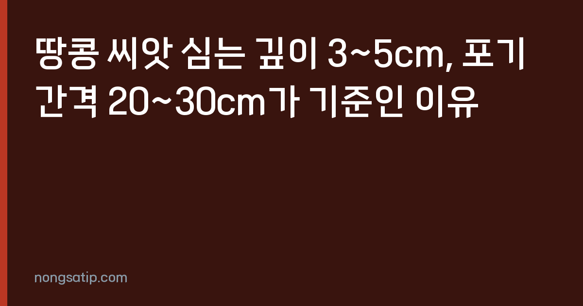 땅콩 씨앗 심는 깊이 3~5cm, 포기 간격 20~30cm가 기준인 이유