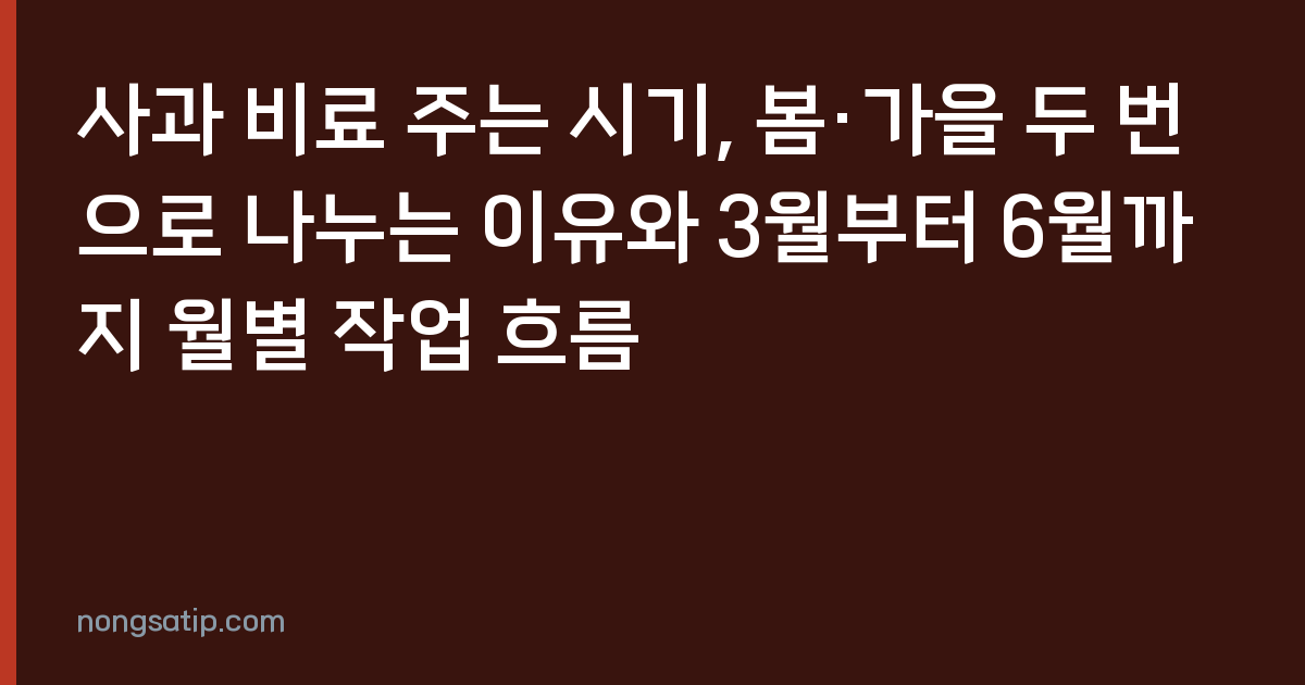 사과 비료 주는 시기, 봄·가을 두 번으로 나누는 이유와 3월부터 6월까지 월별 작업 흐름