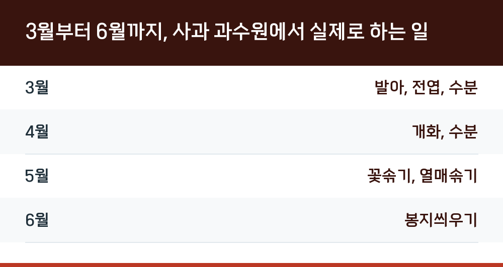 3월부터 6월까지, 사과 과수원에서 실제로 하는 일