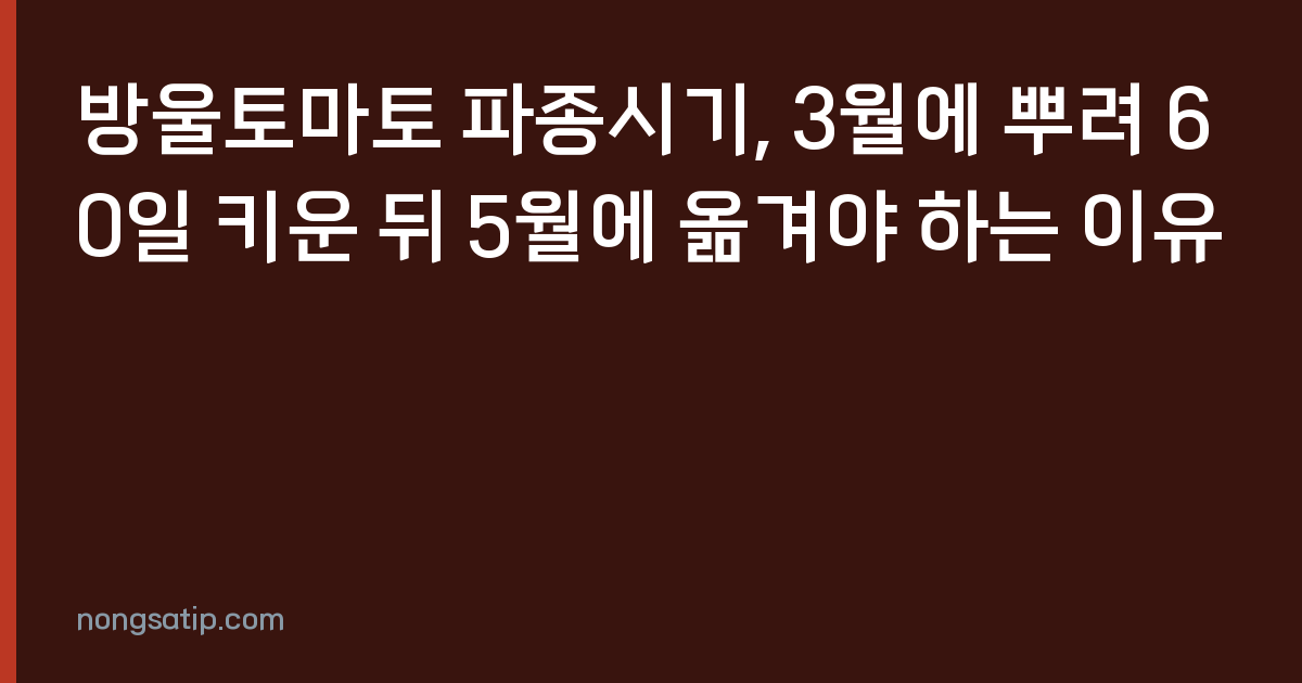 방울토마토 파종시기, 3월에 뿌려 60일 키운 뒤 5월에 옮겨야 하는 이유