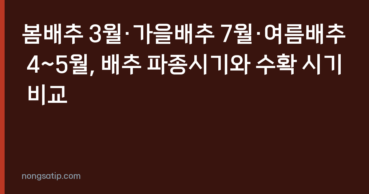 봄배추 3월·가을배추 7월·여름배추 4~5월, 배추 파종시기와 수확 시기 비교