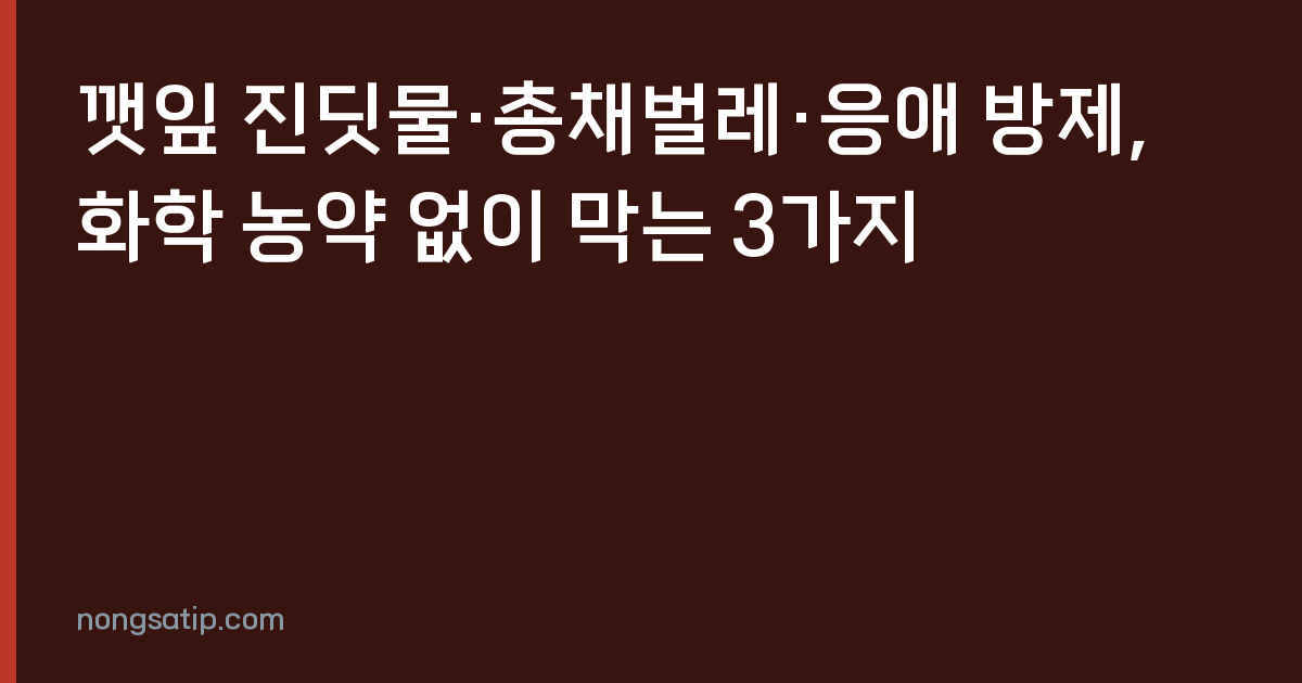 깻잎 진딧물·총채벌레·응애 방제, 화학 농약 없이 막는 3가지