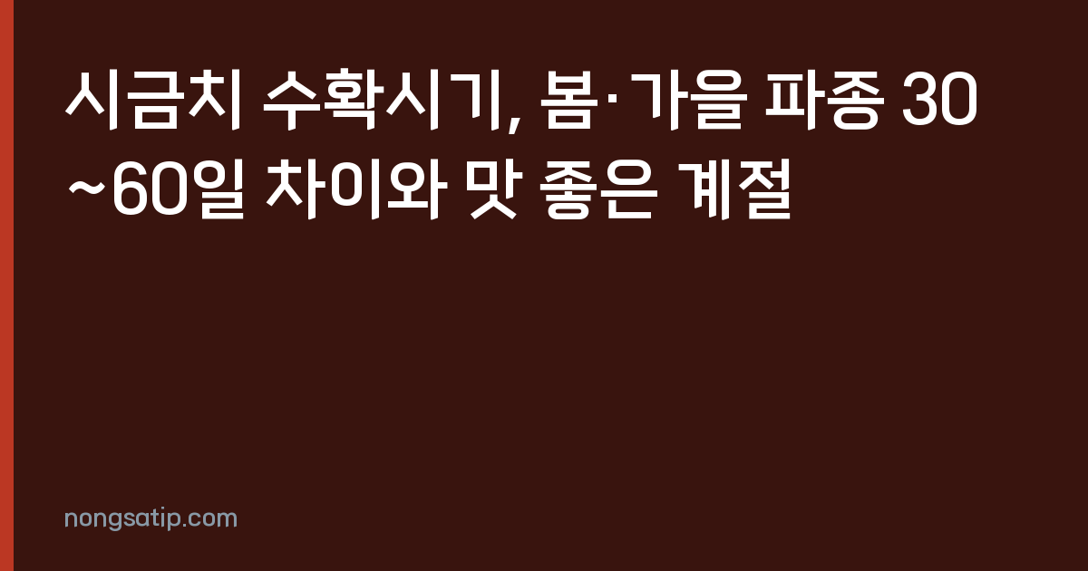 시금치 수확시기, 봄·가을 파종 30~60일 차이와 맛 좋은 계절