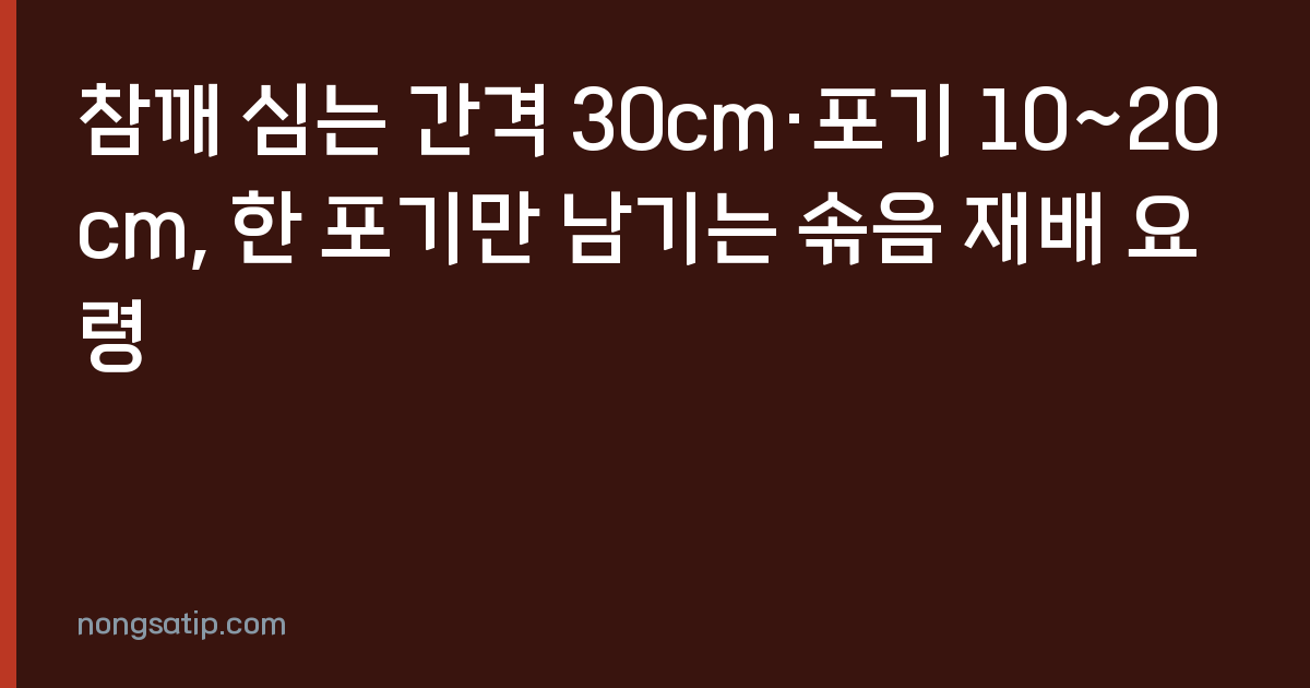 참깨 심는 간격 30cm·포기 10~20cm, 한 포기만 남기는 솎음 재배 요령