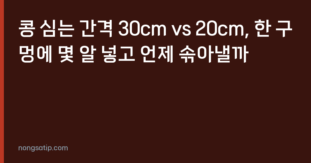 콩 심는 간격 30cm vs 20cm, 한 구멍에 몇 알 넣고 언제 솎아낼까