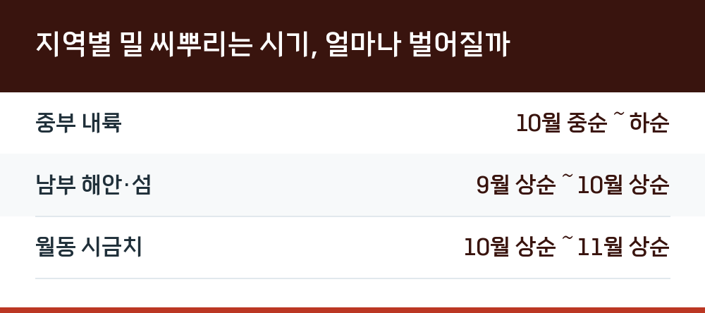 지역별 밀 씨뿌리는 시기, 얼마나 벌어질까