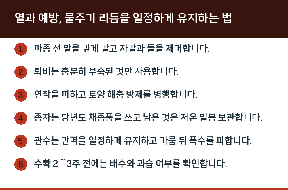 열과 예방, 물주기 리듬을 일정하게 유지하는 법
