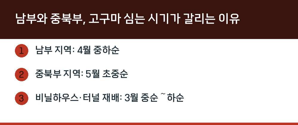 남부와 중북부, 고구마 심는 시기가 갈리는 이유