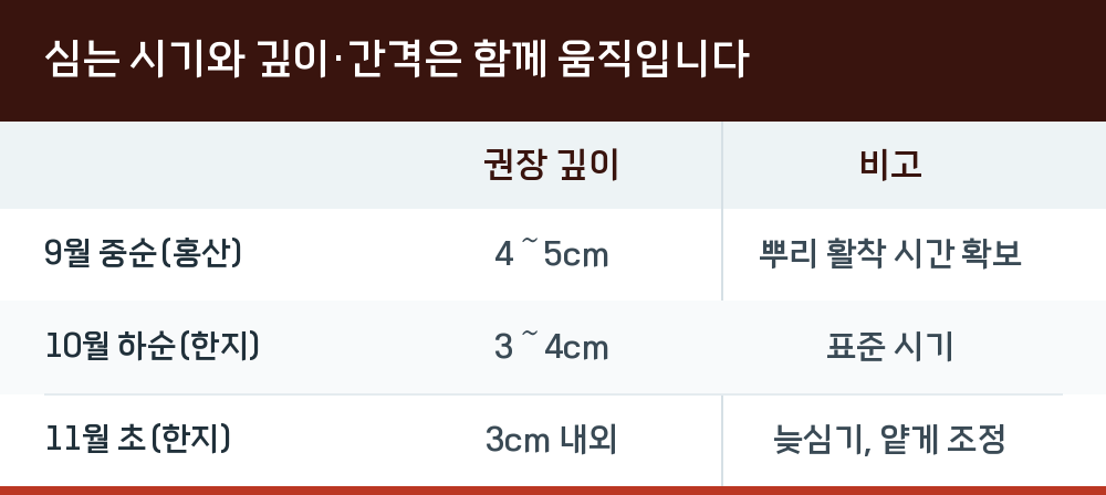 심는 시기와 깊이·간격은 함께 움직입니다
