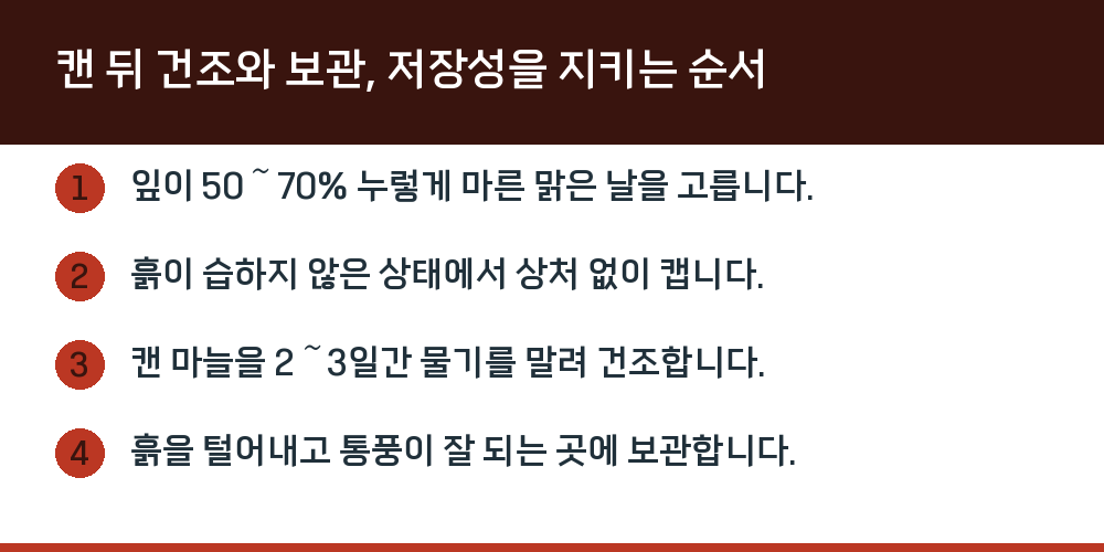 캔 뒤 건조와 보관, 저장성을 지키는 순서