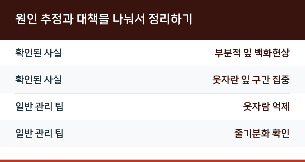 원인 추정과 대책을 나눠서 정리하기