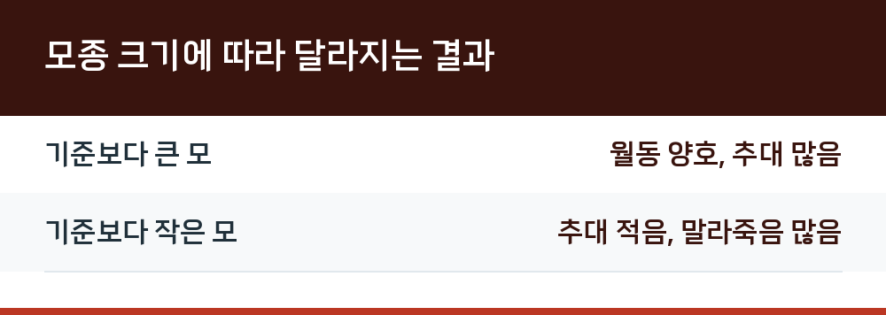모종 크기에 따라 달라지는 결과