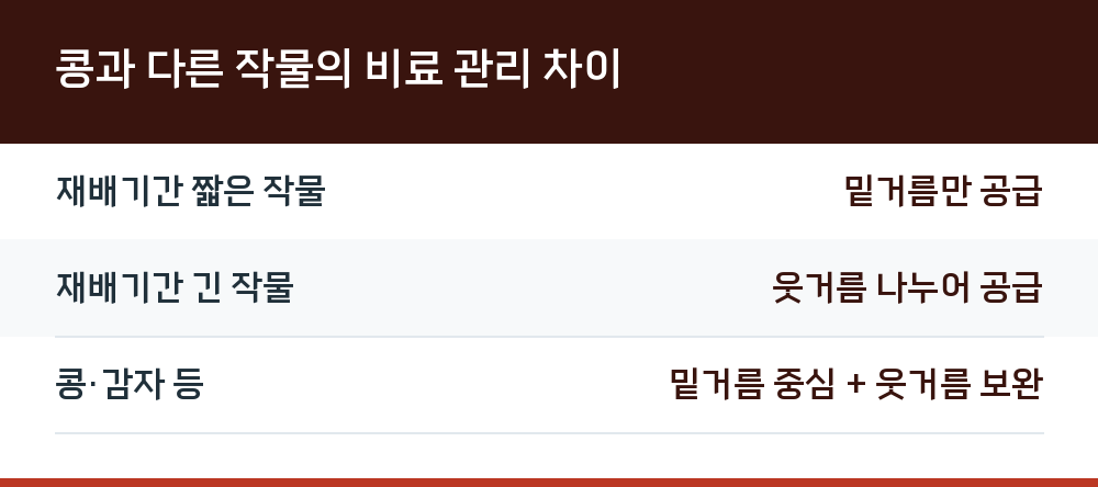 콩과 다른 작물의 비료 관리 차이