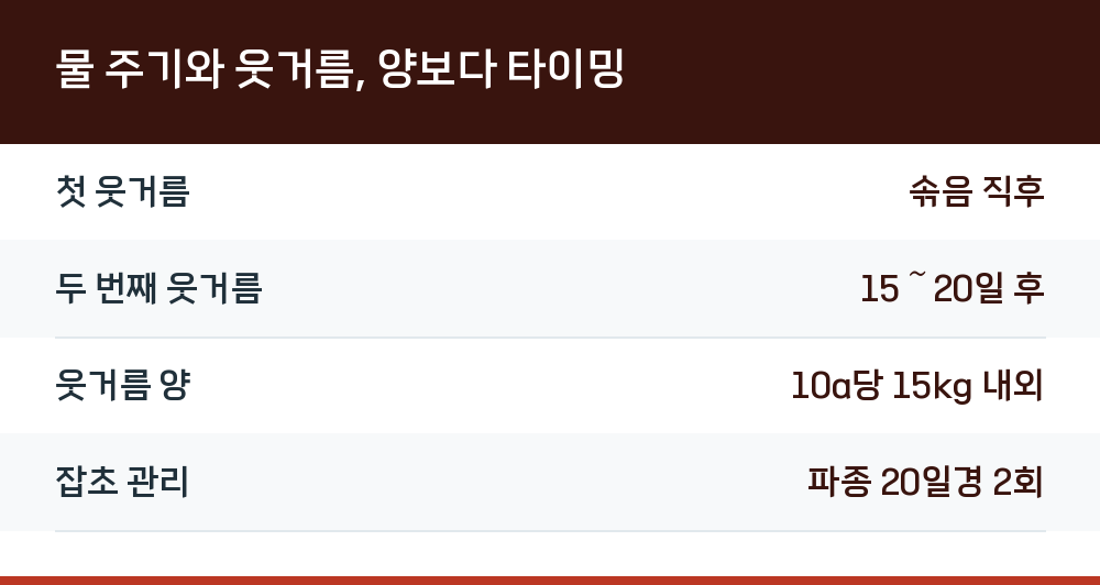 물 주기와 웃거름, 양보다 타이밍