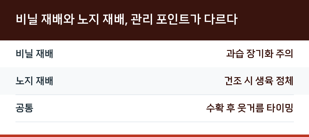 비닐 재배와 노지 재배, 관리 포인트가 다르다