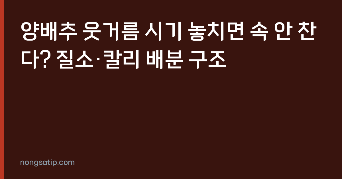 양배추 웃거름 시기 놓치면 속 안 찬다? 질소·칼리 배분 구조