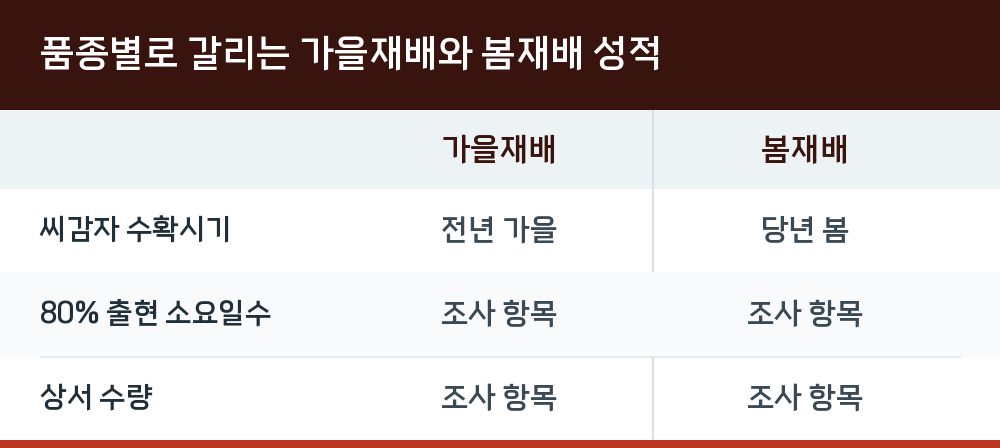 품종별로 갈리는 가을재배와 봄재배 성적