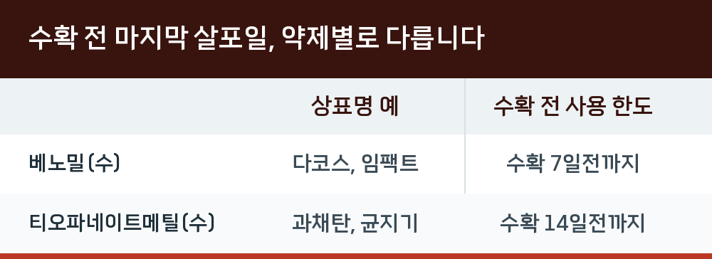 수확 전 마지막 살포일, 약제별로 다릅니다