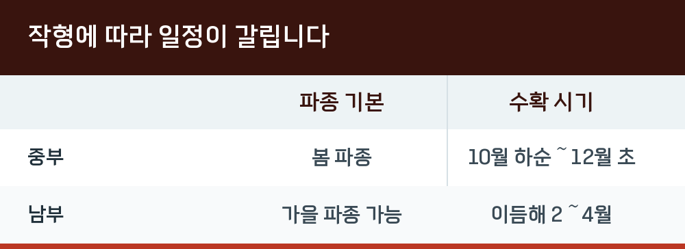 작형에 따라 일정이 갈립니다