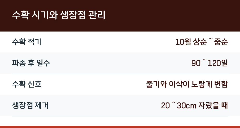 수확 시기와 생장점 관리
