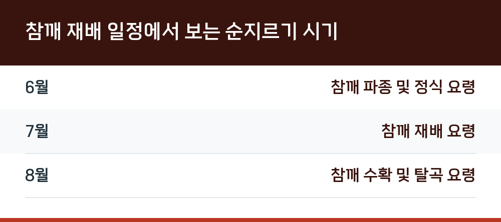 참깨 재배 일정에서 보는 순지르기 시기