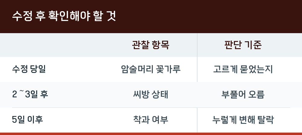수정 후 확인해야 할 것